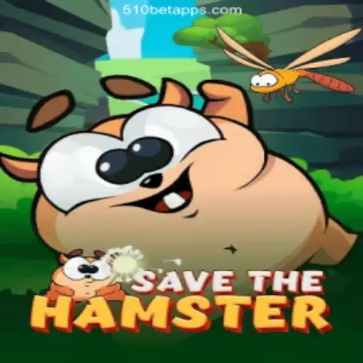 Experience the Adrenaline of SavetheHamster